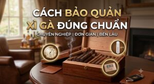 Cách bảo quản xì gà đúng chuẩn