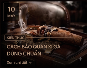 Cách bảo quản xì gà đúng chuẩn